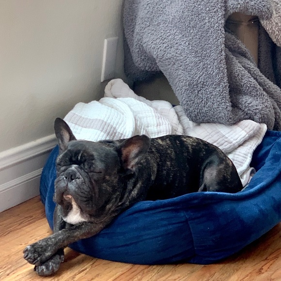 Meet your Posher, Randi - Picture 8 of 8